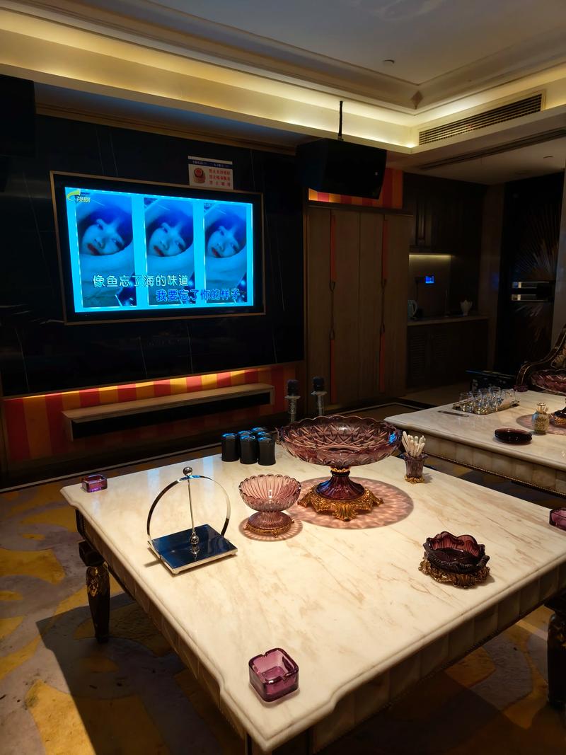 绥化商务ktv到底是什么意思解析-明水县ktv预定